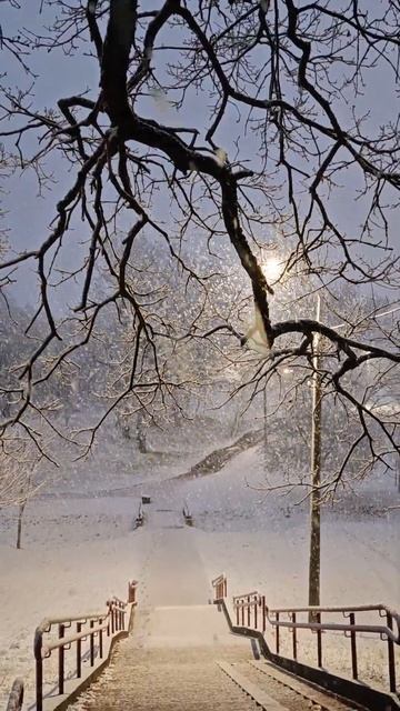 Минск 05.04.2025 #goat #беларусь #memes #врек #sunset #rat #рек #cute #пого смотреть онлайн