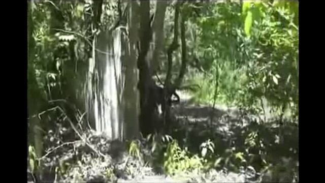 ГСВСК. 12 уч. центр 2013 г. Старая бригада. смотреть онлайн