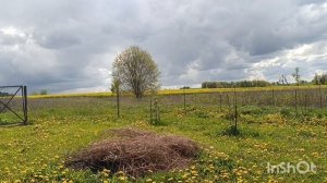 Все сделать нереально, но кое-что сделала, 10 мая