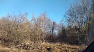 Деревня в Тверской области Торжокский район, разруха,