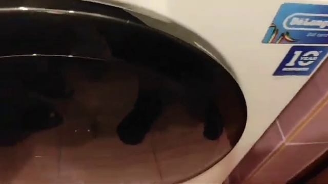 обзор на стиральную машину Delonghi JULIA L 724 VI смотреть онлайн