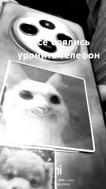 Чайник разбить=родители меня разбить🤣😂 смотреть онлайн