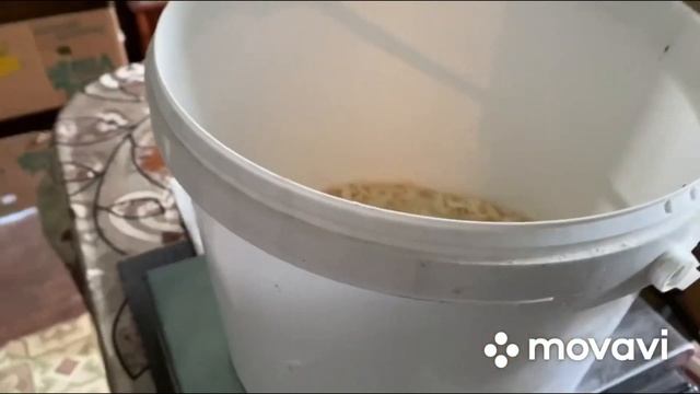 Холодный Июль 23 года Птенцы в теплом доме Гусятам 10 д? смотреть онлайн