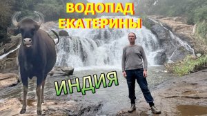 ВОДОПАД ЕКАТЕРИНЫ В ГОРАХ НИЛГИРИ I встреча с гаурами