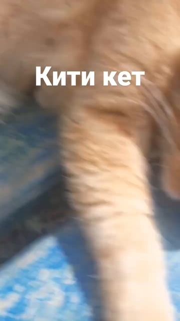 Фёдор..... доставай....... вьетнамскую..........гранату... смотреть онлайн