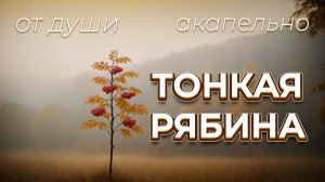 Тонкая рябина