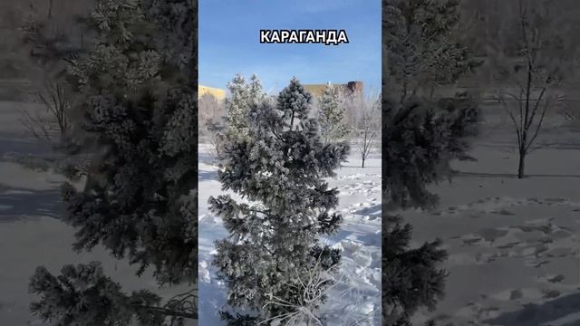 #казахстан #крг #караганда #юговосток #рецепты #природа