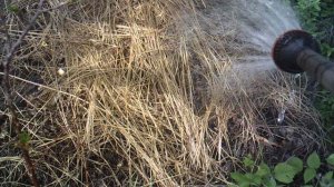 Орошаю компост FREE STYLE