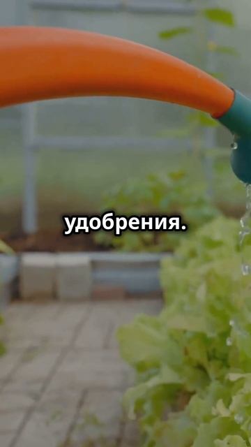 Как создать вертикальный огород в квартире: свежие ов?