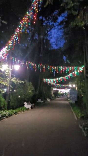 Аллея курорта "Старая Русса" смотреть онлайн