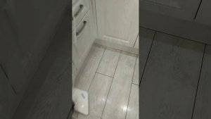Обзор паровой швабры