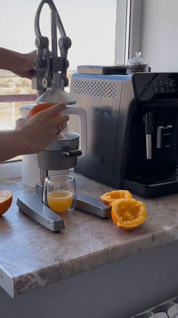 Жду любителей апельсинового фреша в комментах🧡 #соко смотреть онлайн