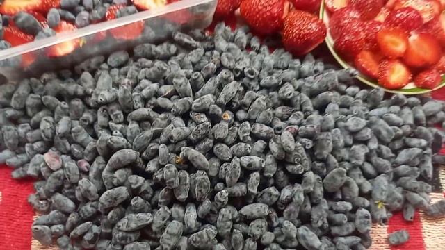 Природное земледелие. О разном.