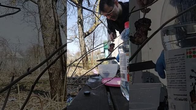 шашлык готов, снимаю шамура с мангала #grill #cooking #meat #шаш? смотреть онлайн