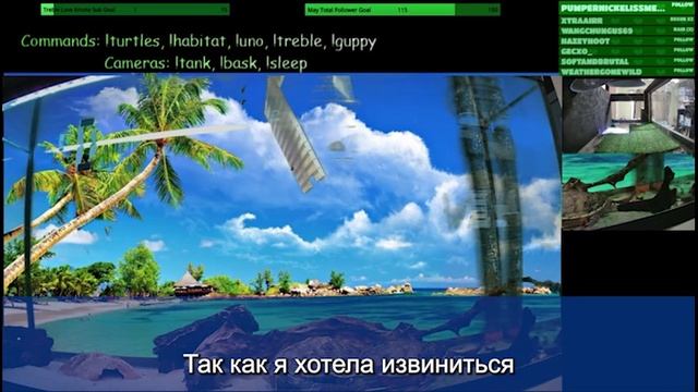 МОЯ БЫВШАЯ ЖЕНА ПОПЫТАЛАСЬ СТАТЬ ДОМОХОЗЯЙКОЙ ПРОТИВ смотреть онлайн