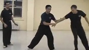 Хай Ян Толкающие руки Туйшоу
