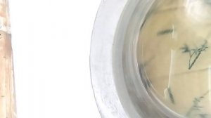 Стирка подушки на индезите🤯/Indesit NSL 605 s/Шерсть/40/800