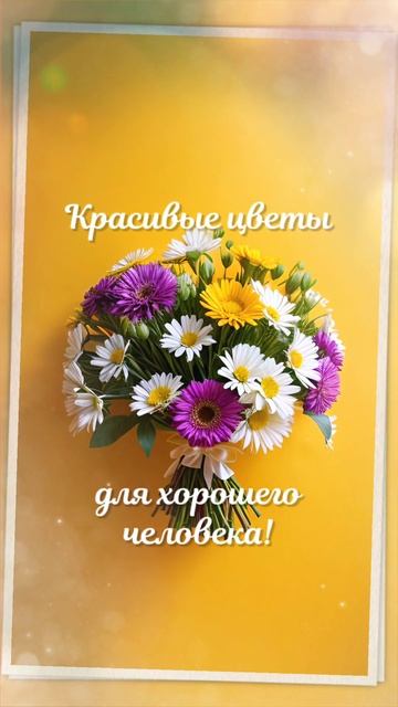 Красивые цветы для хорошего человека видеооткрытка. Я