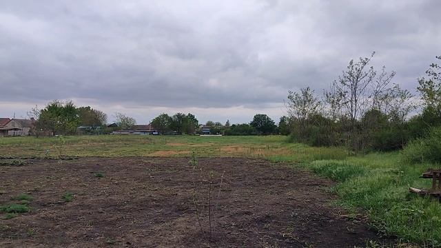 10-05-2025На Кубани задождило. Высаживаем всё. Жизнь на пенсии.