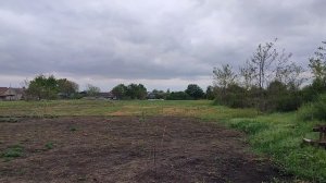 10-05-2025На Кубани задождило. Высаживаем всё. Жизнь на пенсии.