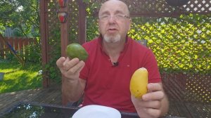 как правильно есть Манго .Как порезать 🥭 .