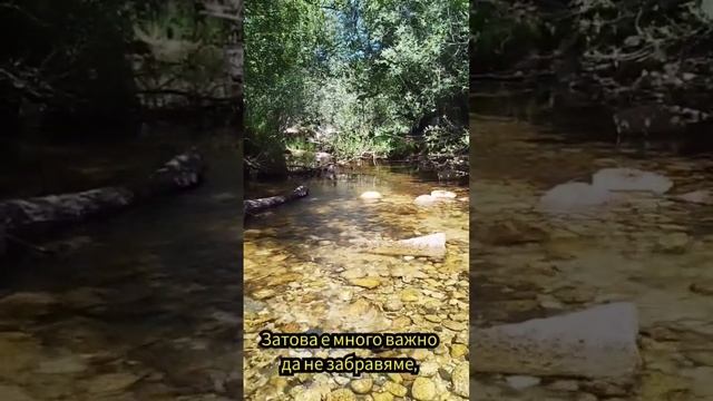 Стихията Вода...Бърз Фън Шуй съвет! #фъншуй #фъншуйзадо? смотреть онлайн