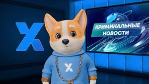 Стартовое видео