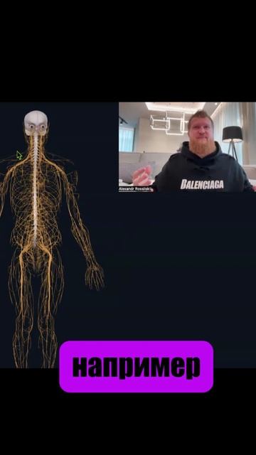 ОТКУДА БЕРЕТСЯ ТВОЯ СИЛА? | Нервная Система Человека смотреть онлайн