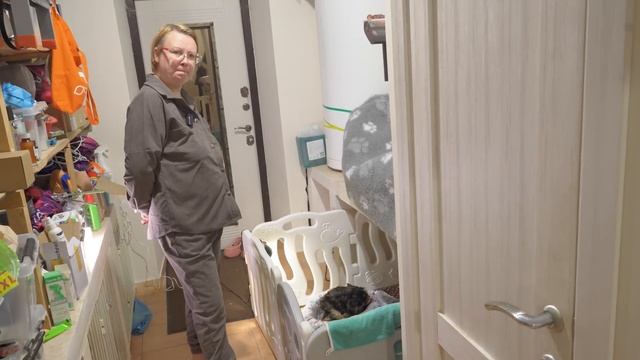 Собака неожиданно родила щенков! Даже не успели включ? смотреть онлайн