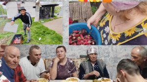 Хроника дня // Дима приехал // уже соскучились 🥰🤣// шашлычок от Феди //
