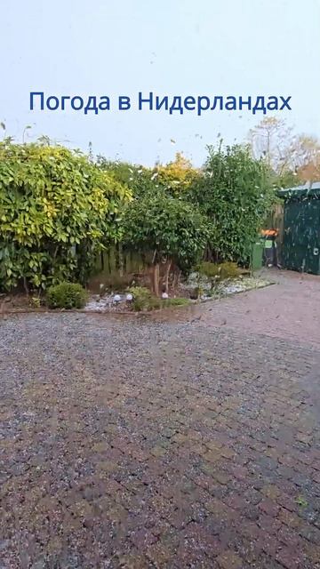 Погода в Нидерландах зимой смотреть онлайн