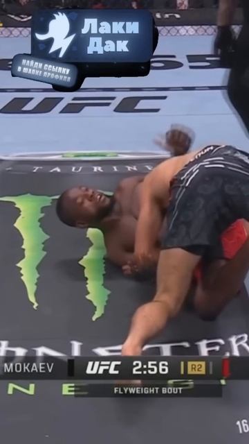 Зачем МОКАЕВ Стягивал ШОРТЫ 😀с Капе?! #ufc #shotrs смотреть онлайн