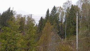 Видео WhatsApp 2025-05-12 в 14.02.28_be43337d