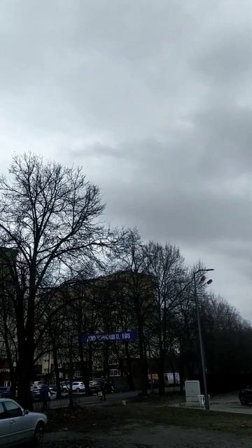 погода в Калининграде смотреть онлайн