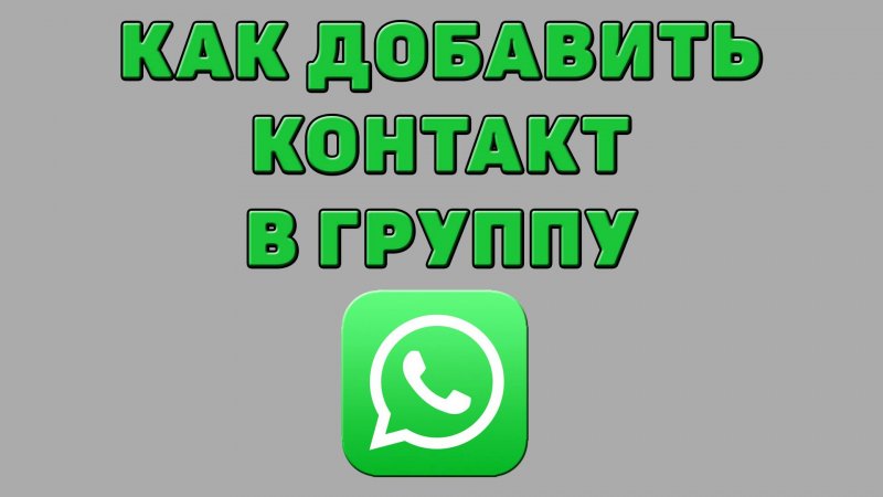 Как добавить контакт в группу в Ватсапе