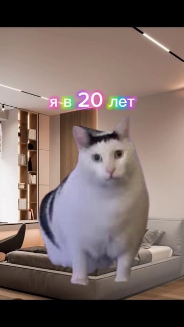 Слышишь бабка где моя граната со 2 мировой? #10лет #20лет # смотреть онлайн