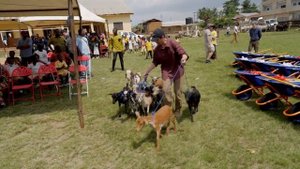 Click This Video To Feed 1 Person