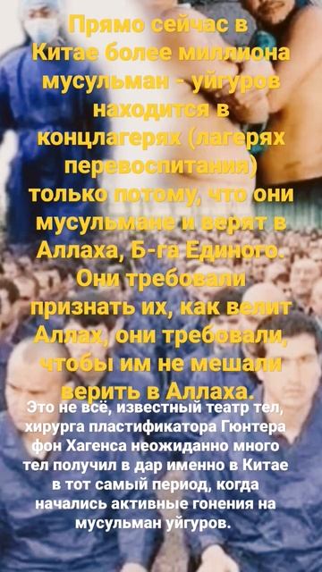 Требуем остановить #геноцид мусульман в Китае #религи? смотреть онлайн