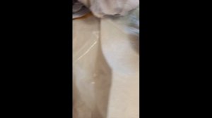 Пила аккумуляторная цепная 48v как снять предохранител