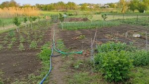 Воскресный вечер. Трудовой понедельник.