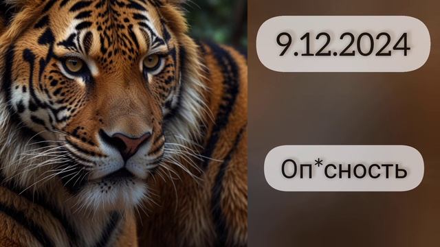 #энергии_дня || 9.12.2024 || Распаковка энергий дня || Оп*снос? смотреть онлайн