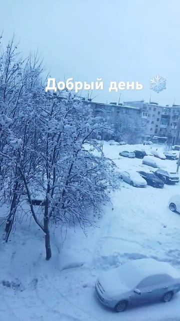 #подпишись 🥰#доброеутро #зима #мурманск #зимахолода #с