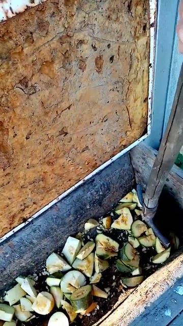 Овощерезка для коров. смотреть онлайн