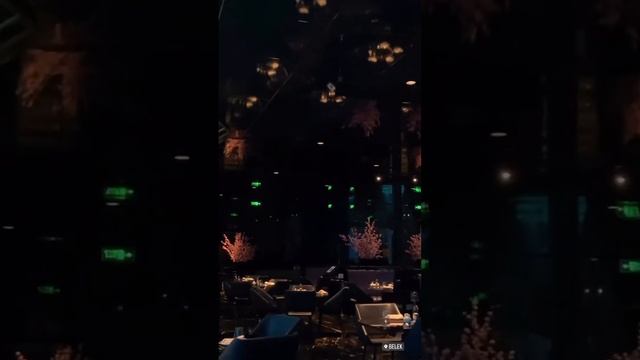 Ресторан Немо ,красивый дизайн,вообще много чего есть смотреть онлайн