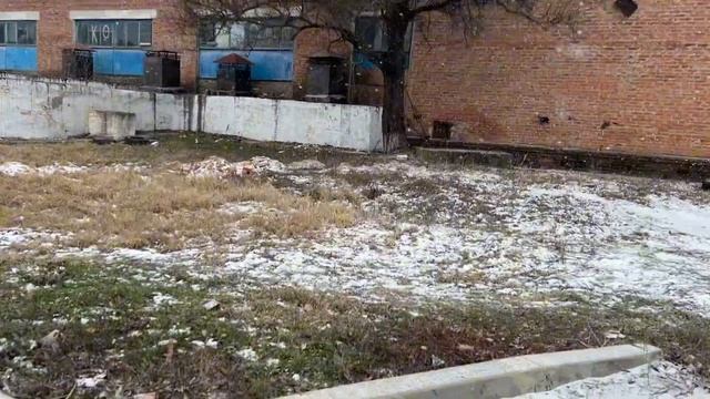 VLOG 39:Пошла крысе за наполнителем/ Купила дедушке чайни смотреть онлайн