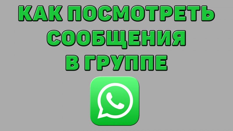 Как посмотреть сообщения в группе в Ватсапе