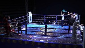 Дмитрий Головкин vs Мураз Оганджанян