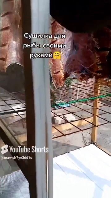 Сушилка для рыбы внутри#сушилка#рыба#балык#dryer#fish##ютуб