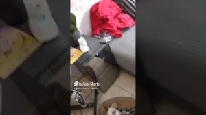что_опять_!