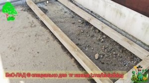 Мчим со всех ног, показать что успели за прошедшую неделю